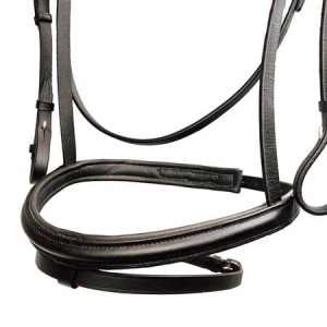 Tranzelka York Frida