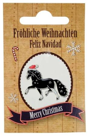 pol_pm_Przypinka-w-opakowaniu-HR-Christmas-14183_1.jpg