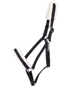 Kantar podszywany dla koni zimnokrwistych QHP