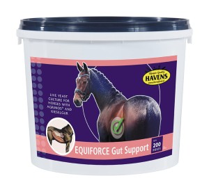 HAVENS EquiForce Gut Support 1kg probiotyk dla koni
