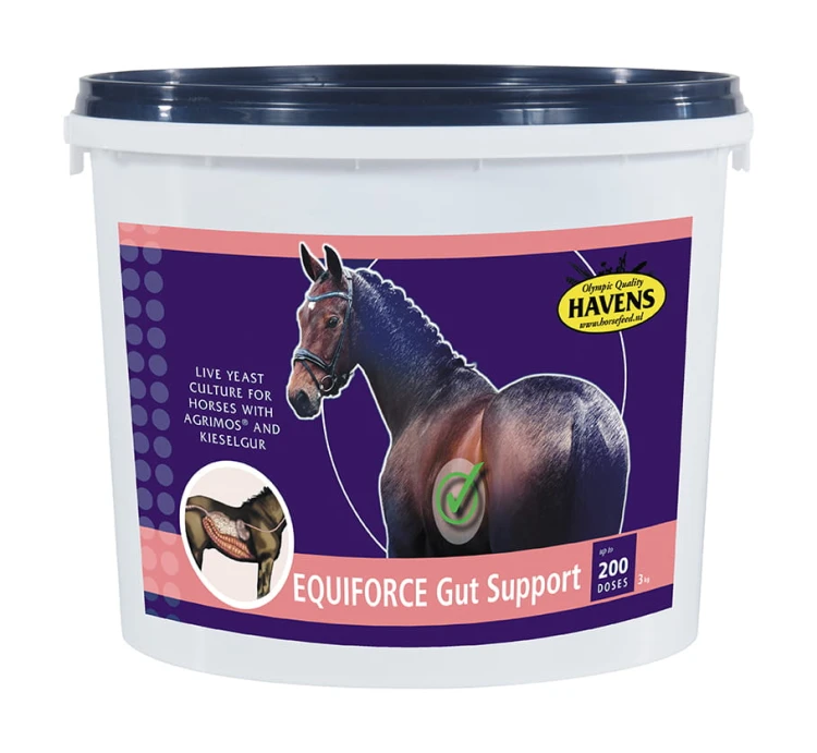 Gut-support-RGB-72dpi-web.jpg