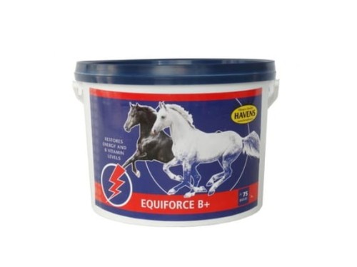 HAVENS EquiForce B+ 1kg witaminy z grupy B dla koni