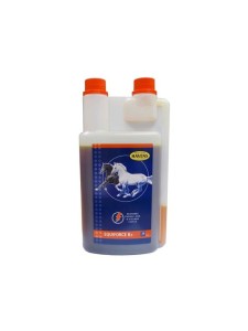 HAVENS EquiForce B+ liquid 1l witaminy z grupy B + MSM