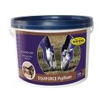 HAVENS EquiForce Psyllium 3kg preparat na odpiaszczanie koni
