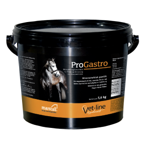 MARSTALL Pro Gastro 3 kg wsparcie układu pokarmowego