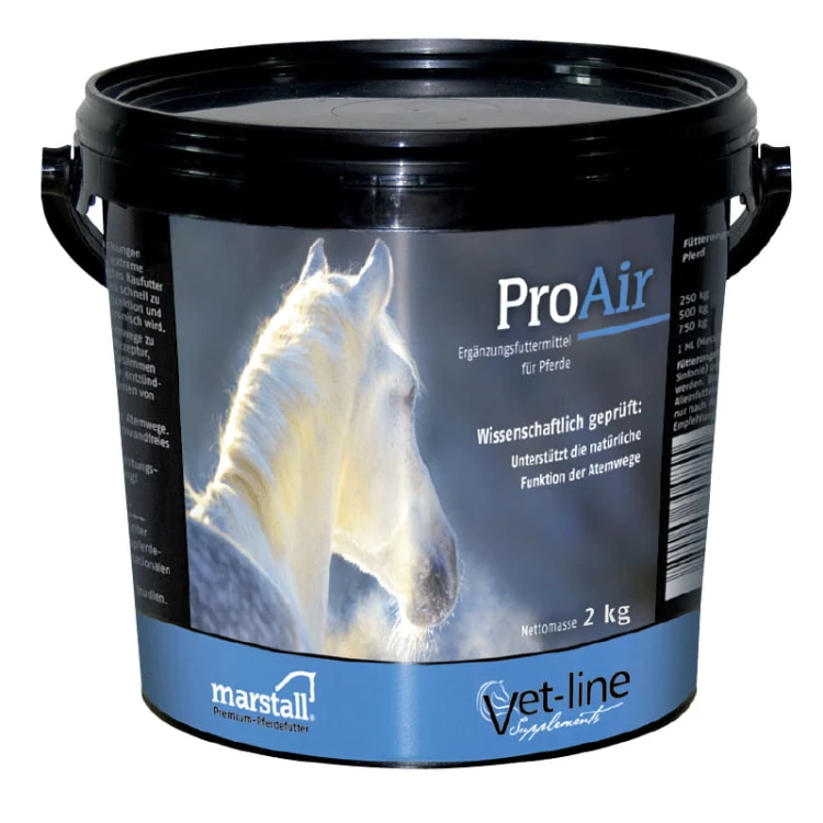 ProAir.jpg