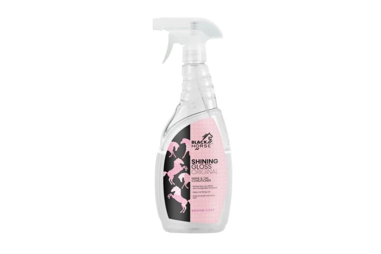 SHINING-GLOSS-ORIGINAL-W-750-ml-1-1536x1024-1.webp