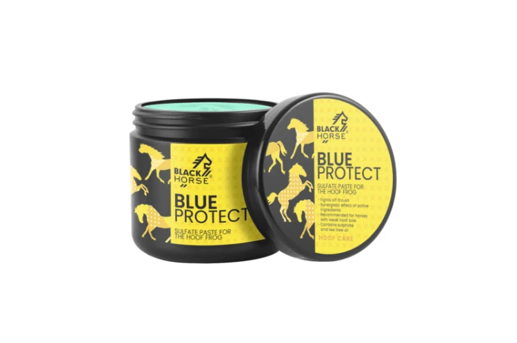 BLUE-PROTECT-W-800x533.png