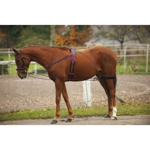 System do lonżowania