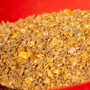 RED MILLS 10% Cool N Cooked Mix 20kg pasza dla koni lekko pracujących bez owsa