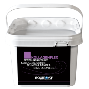 EQUINOVA Kollagenflex 2 kg - dla wsparcia układu mięśniowo-szkieletowego