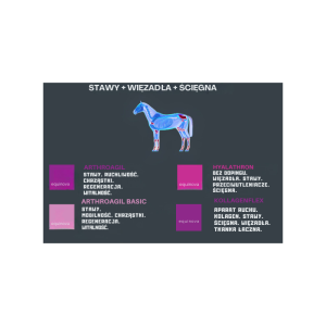 EQUINOVA Kollagenflex 2 kg - dla wsparcia układu mięśniowo-szkieletowego