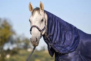 Derka siatkowa "Combo Belly" - rozm. 125 cm - WYSYŁKA 48 H 