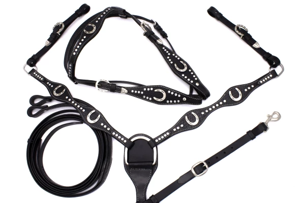 westernset-schwarz-hufeisenconcho-1-SW10928_600x600.webp