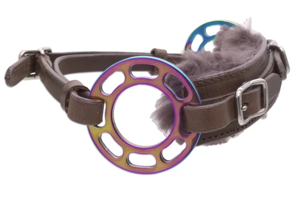 Gluecksrad-rainbow-bunt-braunes-Leder-SW11541x9KH908bKAYtd_600x600.webp