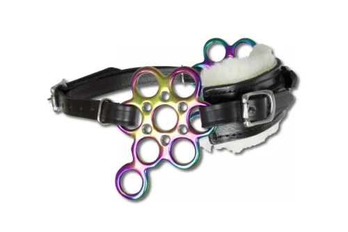 Hackamore RAINBOW FLOWER