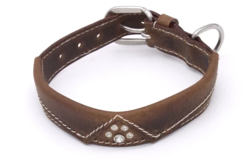 hundehalsband-leder-kragen-front-SW11782_600x600.webp