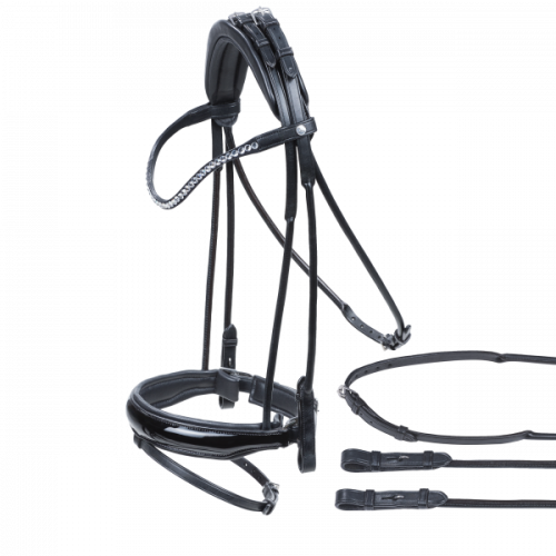 TN120104_040 (0).png
