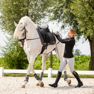 Długie wodze pomocnicze BUSSE 