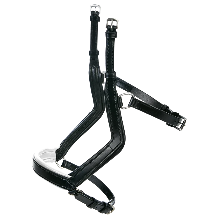 TN124031_340 (1).png