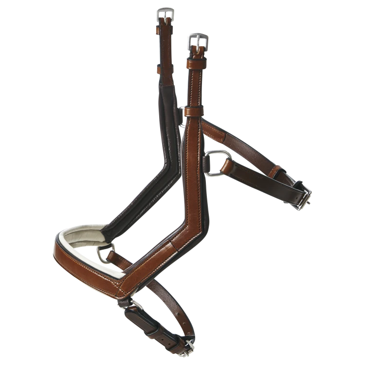 TN124031_727 (1).png