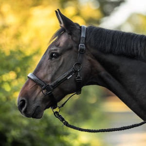 Kantar MARILIA BUSSE  