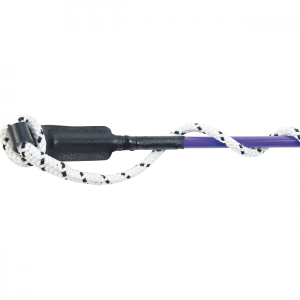 Carrot stick BUSSE 