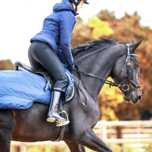 Zimowe bryczesy 3/4 BUSSE