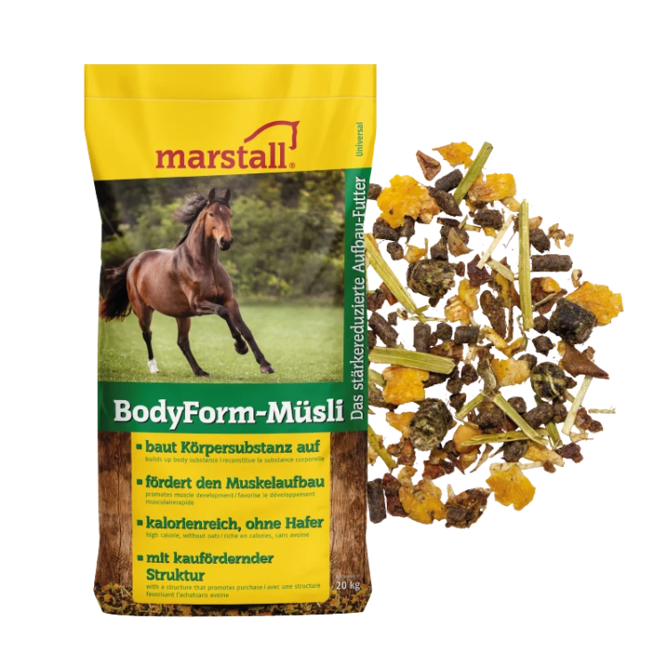 bodyform-web.webp