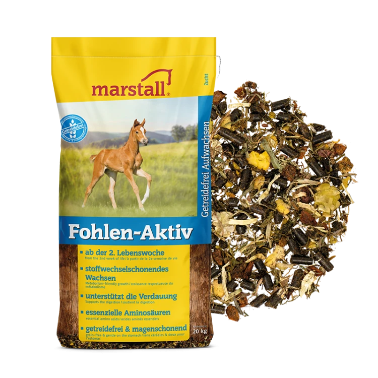 fohlen-aktiv-web.webp