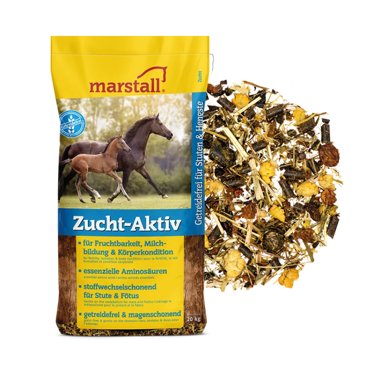 zucht-aktiv-web.png