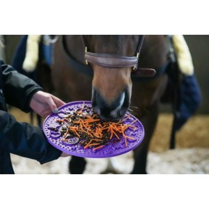 Mata do wylizywania dla koni LIKIT  