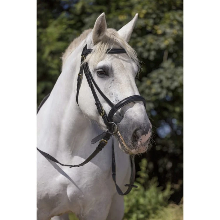 norton-club-bridle-draught-horse.jpg