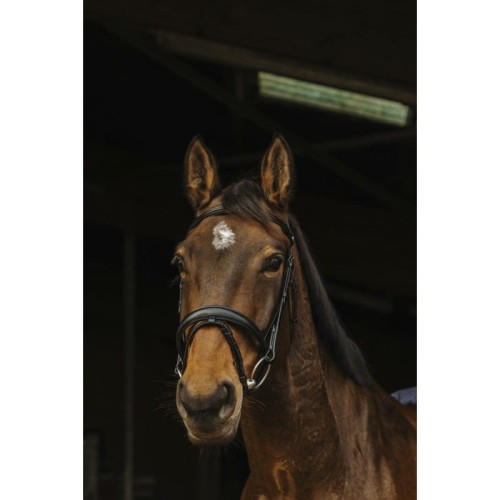 Ogłowie NORTON PRO "DARK"