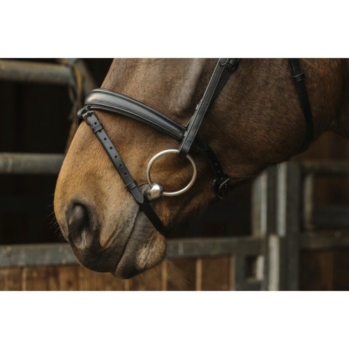 norton-pro-dark-bridle (1).jpg