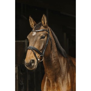 Ogłowie NORTON PRO "GALON"