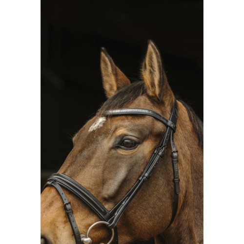 norton-pro-galon-bridle (1).jpg