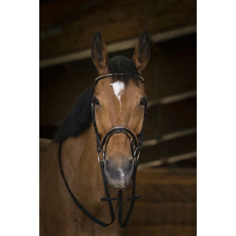 norton-pro-rosegold-web-reins.jpg