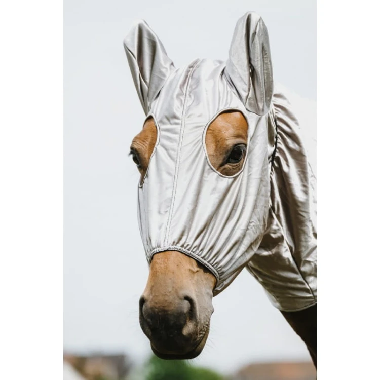 riding-world-anti-eczema-hood.jpg