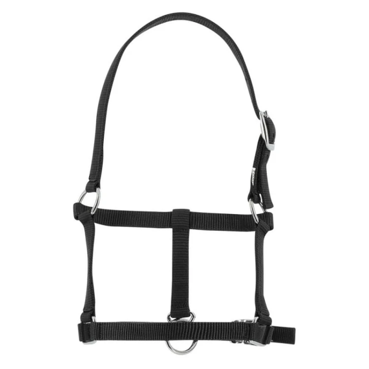 riding-world-foal-headcollar.jpg