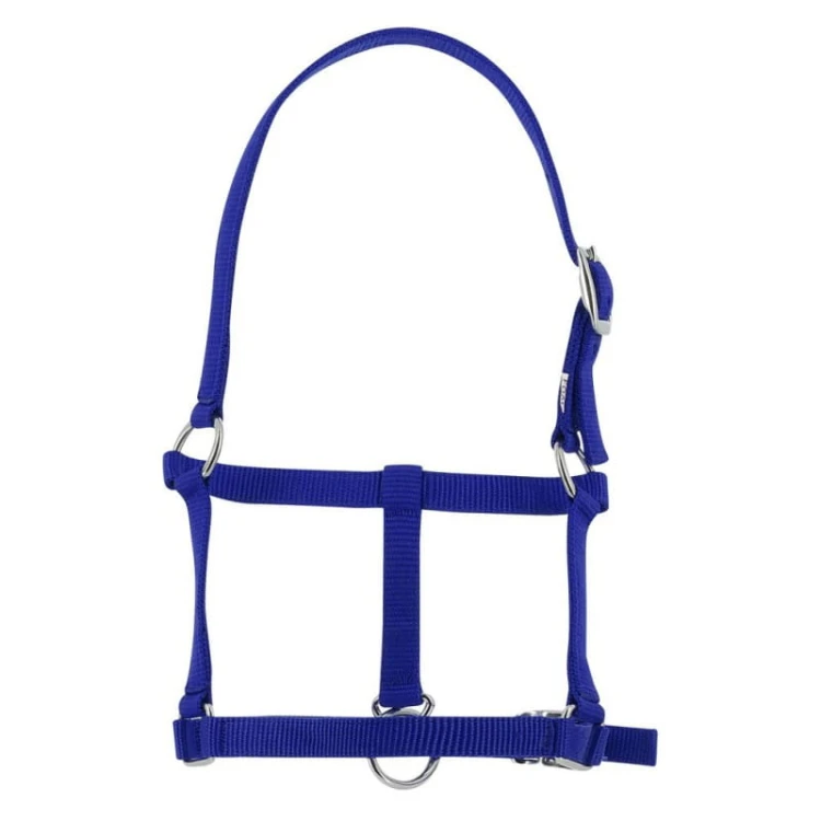 riding-world-foal-headcollar (3).jpg