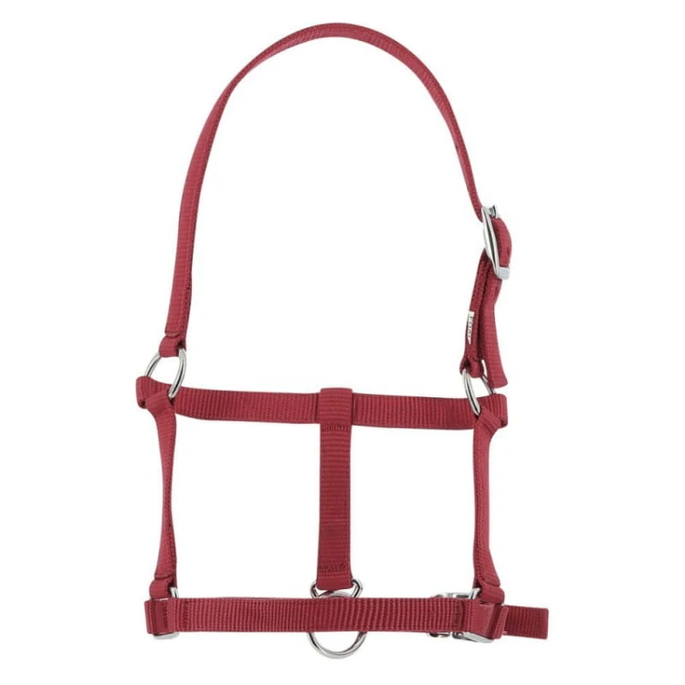 riding-world-foal-headcollar (6).jpg