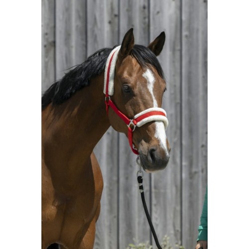 Kantar z futerkiem Riding world  