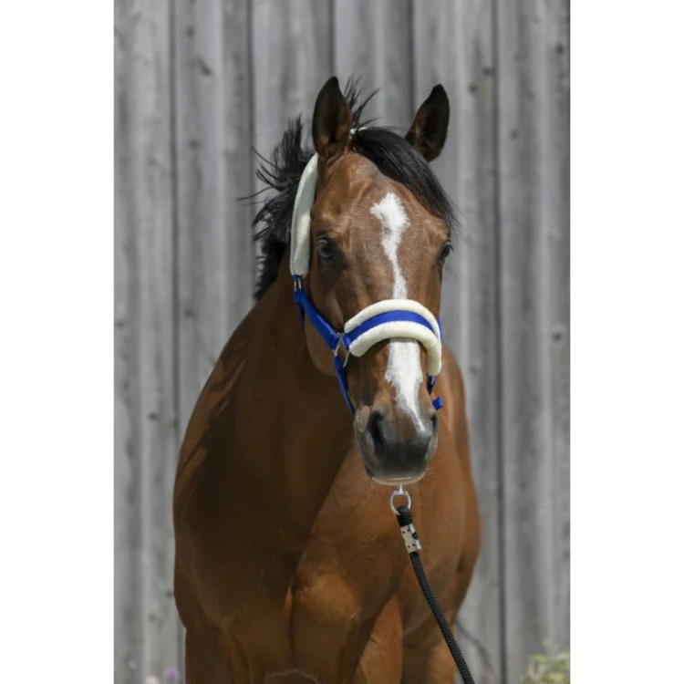 riding-world-headcollar-synthetic-sheepskin (3).jpg