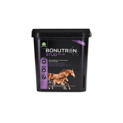 bonutron-stud-g1-l6.png