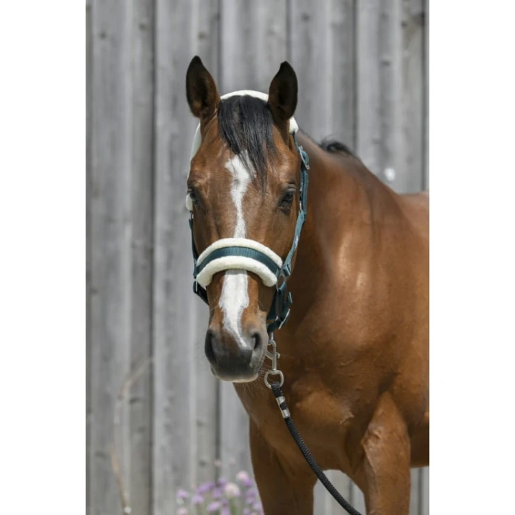riding-world-headcollar-synthetic-sheepskin (5).jpg