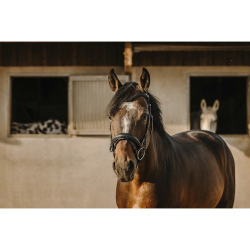 Ogłowie ERIC THOMAS "BAT” 