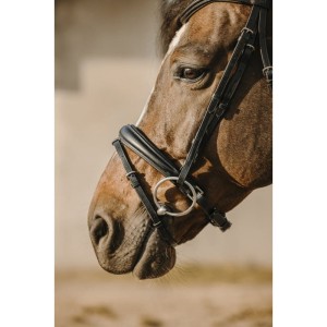 Ogłowie ERIC THOMAS "BAT” 