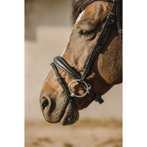 eric-thomas-bat-bridle (1).jpg