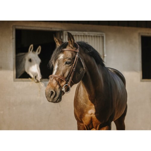 eric-thomas-crown-bridle.jpg
